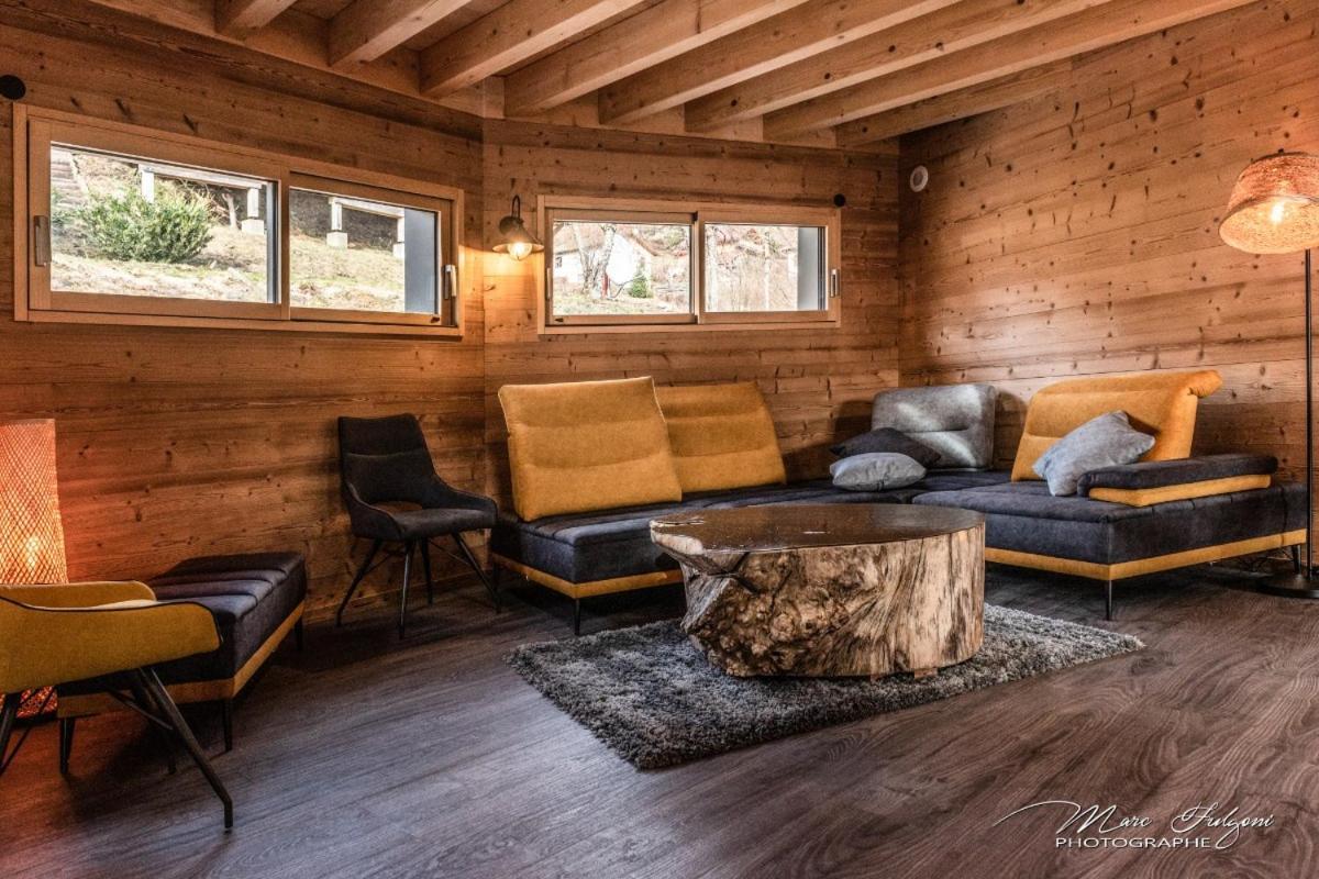 Villa Chalet Le Pourquoi Pas à La Bresse Extérieur photo